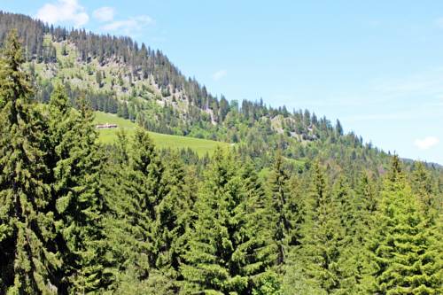 Imagen de la habitación del Alpengasthof H&ouml;rnlepass Kr&auml;uterhotel. Foto 11