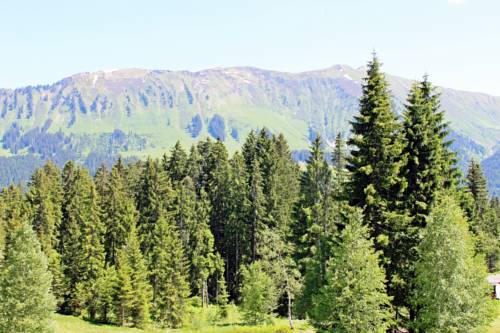 Imagen de la habitación del Alpengasthof H&ouml;rnlepass Kr&auml;uterhotel. Foto 12