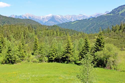 Imagen de la habitación del Alpengasthof H&ouml;rnlepass Kr&auml;uterhotel. Foto 13