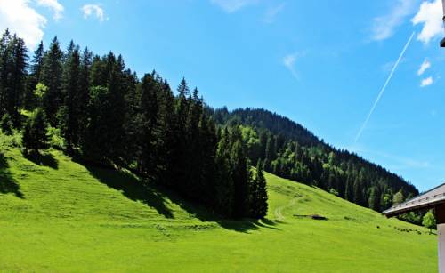 Imagen de la habitación del Alpengasthof H&ouml;rnlepass Kr&auml;uterhotel. Foto 15