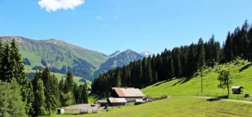 Imagen de la habitación del Alpengasthof H&ouml;rnlepass Kr&auml;uterhotel. Foto 16