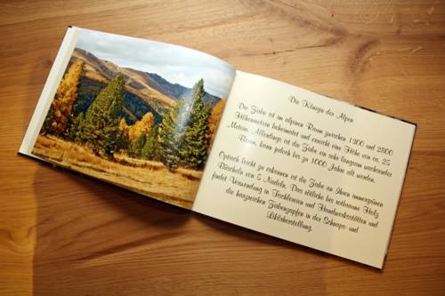 Imagen de la habitación del Alpengasthof Lämmerhof. Foto 10