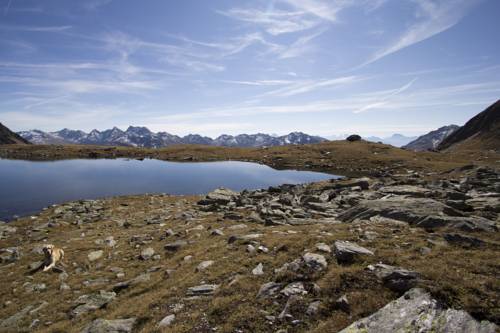 Imagen general del Alpengasthof Zollwirt. Foto 1