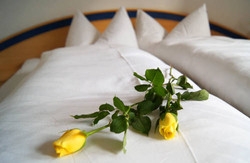 Imagen general del Alpenzeit. Foto 6