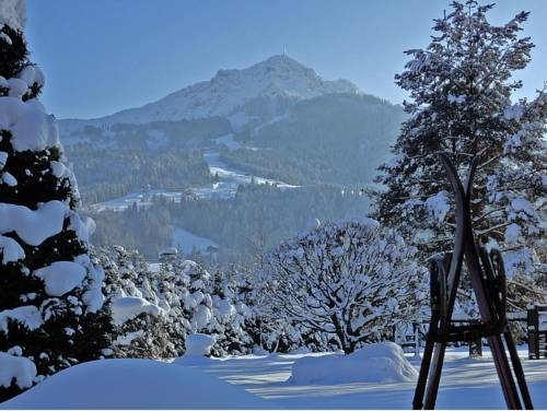 Imagen general del Alpine Chalet Schoenbichl. Foto 7