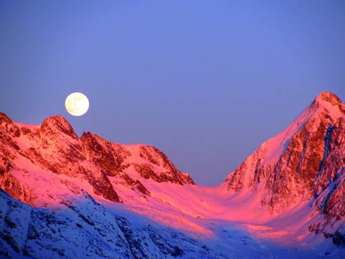 Imagen de la habitación del Alpine Village Resort. Foto 6