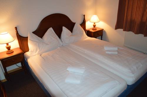 Imagen de la habitación del Alpine Village Resort. Foto 9