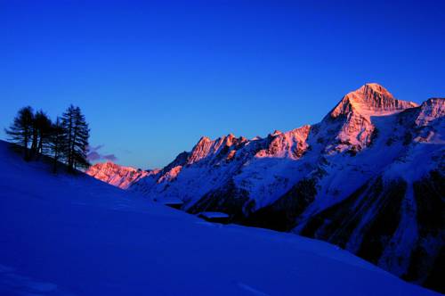 Imagen de la habitación del Alpine Village Resort. Foto 13