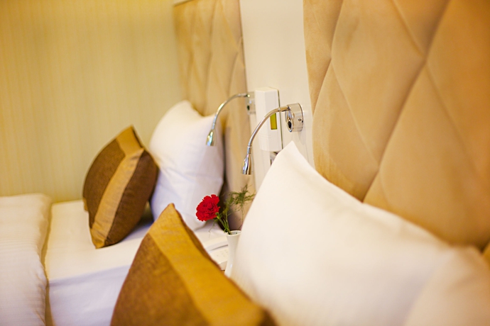 Imagen de la habitación del Alpinn Hotel Istanbul- Special Class. Foto 12