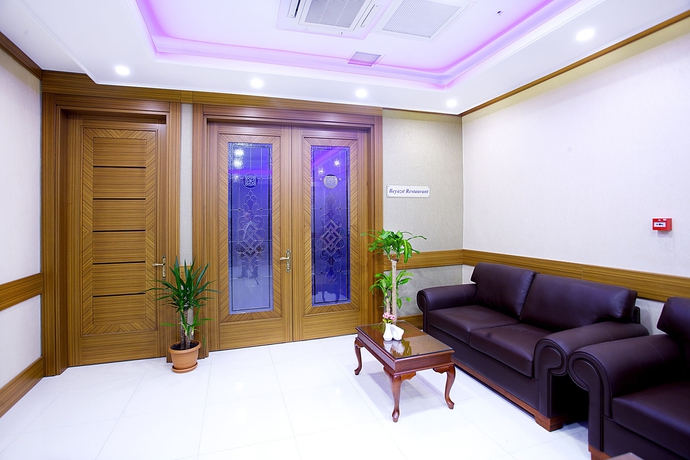 Imagen de los interiores del Alpinn Hotel Istanbul- Special Class. Foto 16