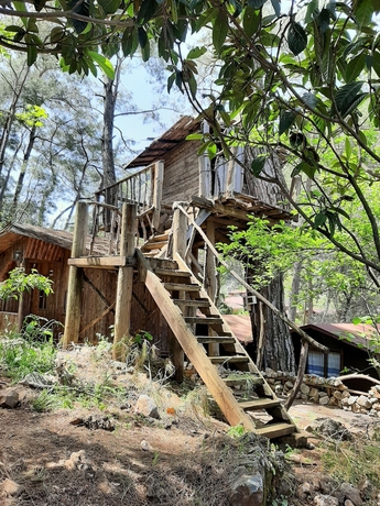 Imagen de la habitación del Altaris Bungalows Olympos. Foto 5