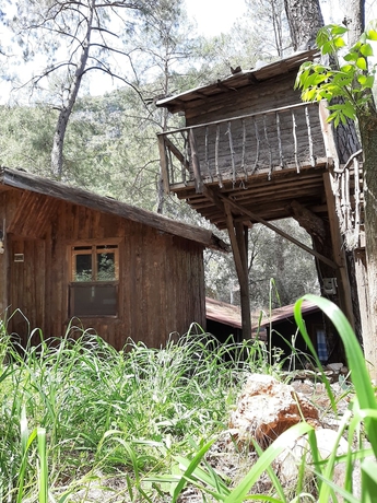 Imagen de la habitación del Altaris Bungalows Olympos. Foto 9