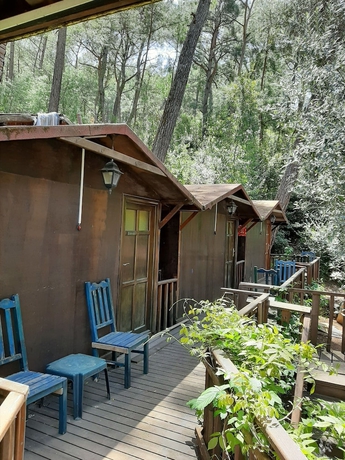 Imagen de la habitación del Altaris Bungalows Olympos. Foto 11