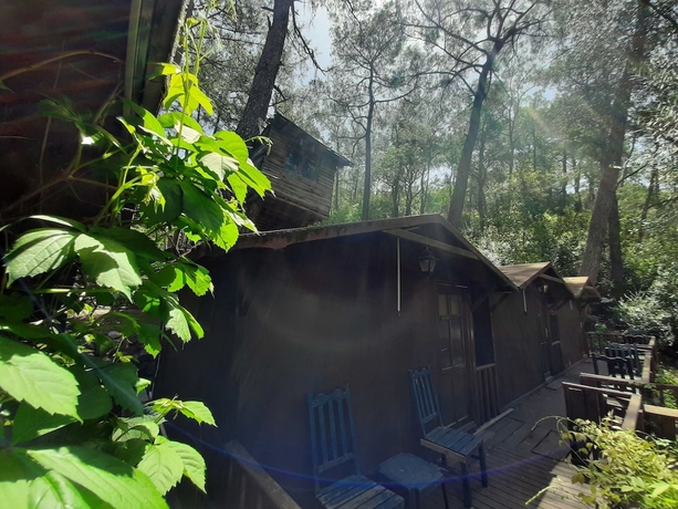 Imagen de la habitación del Altaris Bungalows Olympos. Foto 12