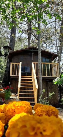 Imagen de la habitación del Altaris Bungalows Olympos. Foto 15