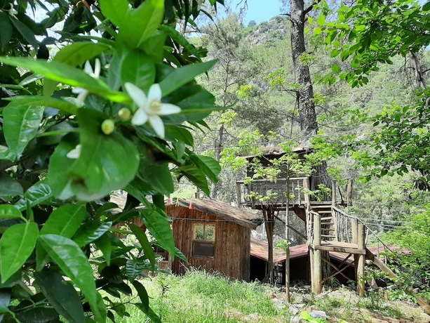 Imagen de los exteriores del Altaris Bungalows Olympos. Foto 17