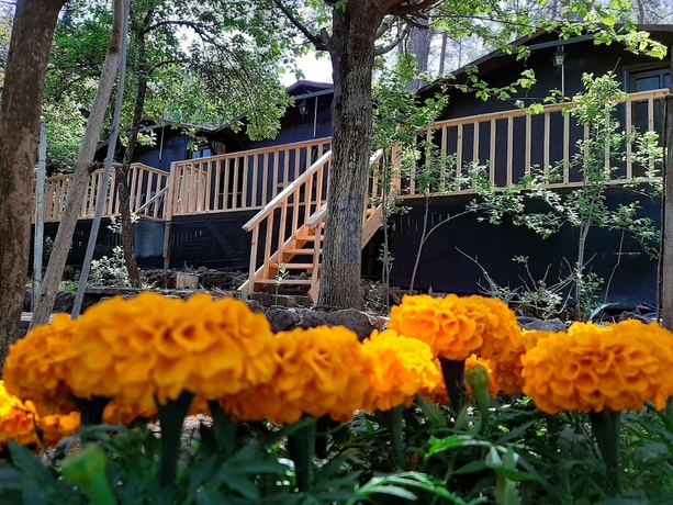 Imagen de los exteriores del Altaris Bungalows Olympos. Foto 18