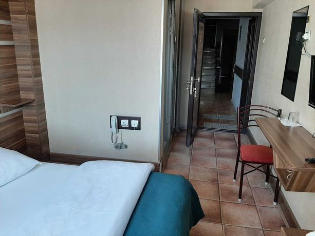 Imagen de la habitación del Altay Hotel. Foto 9