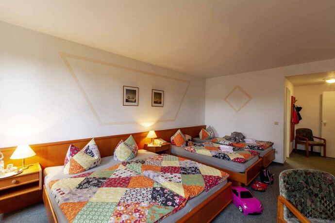 Imagen de la habitación del Alter Weber. Foto 18