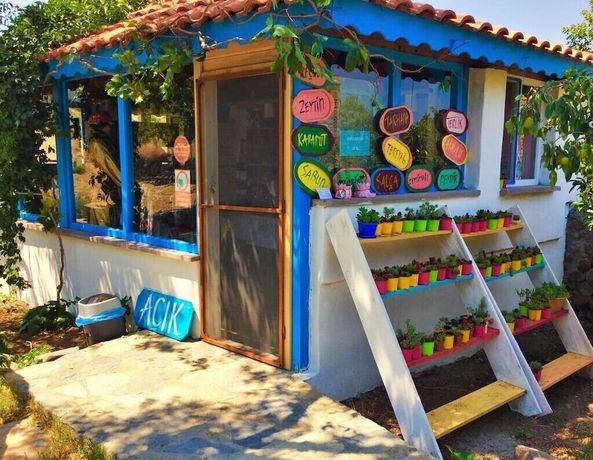 Imagen de los interiores del Alterna Koy Evi. Foto 14