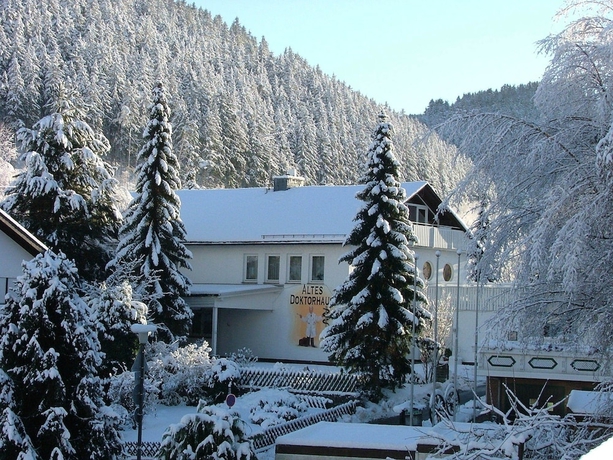 Imagen general del Altes Doktorhaus. Foto 1
