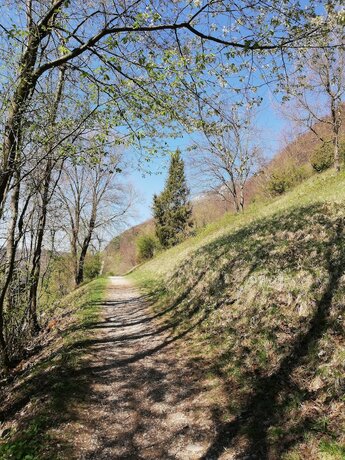 Imagen general del Altes Pfarrhaus. Foto 9