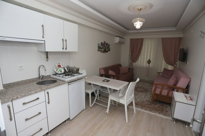 Imagen de la habitación del Altinkum Otel Karasu. Foto 17