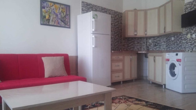 Imagen de la habitación del Altinkum Tatil Koyu. Foto 13