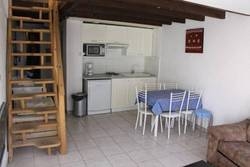 Imagen general del Altissim Griffon. Foto 18