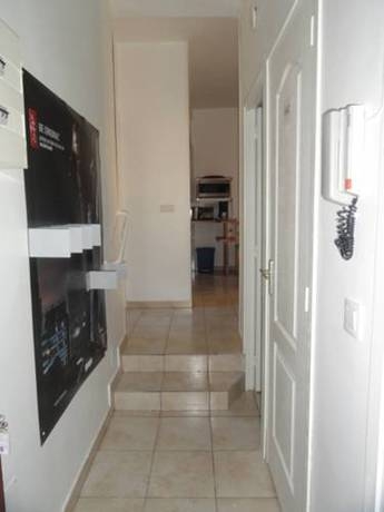 Imagen general del Altissim Griffon. Foto 21