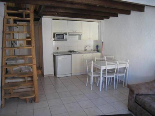 Imagen general del Altissim Griffon. Foto 45