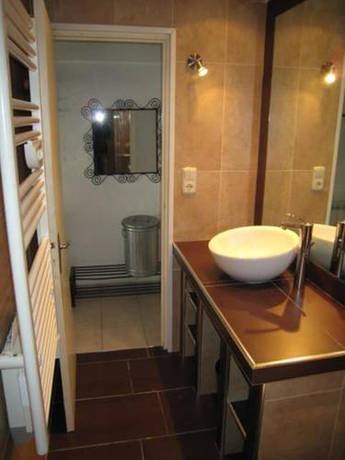 Imagen general del Altissim Griffon. Foto 50