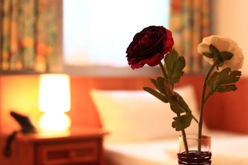 Imagen de la habitación del Altstadthotel Fürth. Foto 8