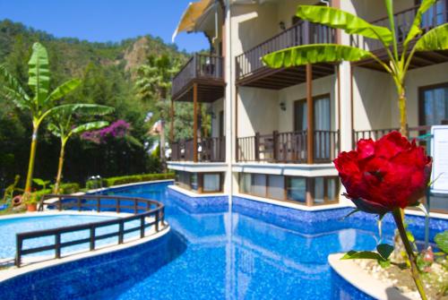 Imagen general del Alya Hotel G&ouml;cek. Foto 2