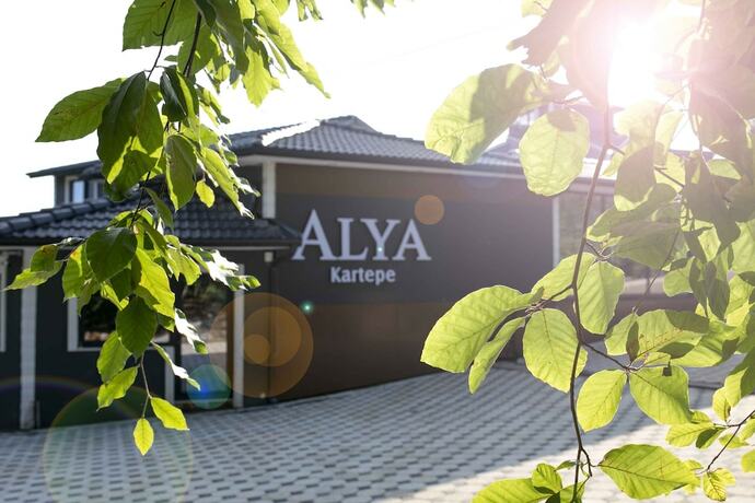 Imagen general del Alya Kartepe Villa Hotel. Foto 3
