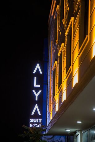 Imagen general del Alya Suit, Estambul. Foto 6