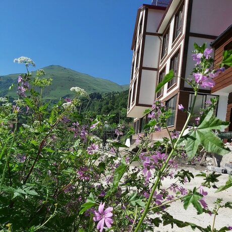 Imagen general del Alya Teras Otel. Foto 15