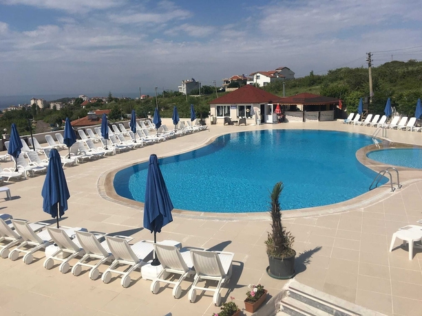 Imagen de la piscina del Amadeus Motel. Foto 13