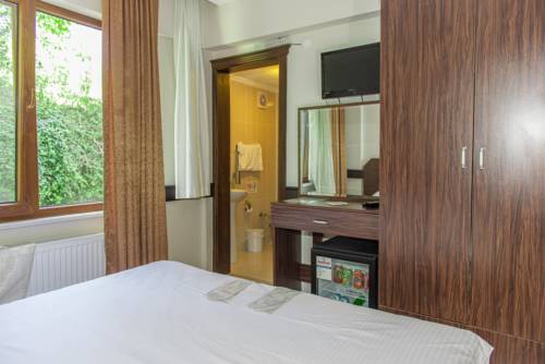 Imagen de la habitación del Amasra Ceylin Hotel. Foto 6