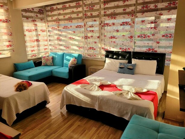 Imagen general del Amasra Kristal Otel. Foto 11