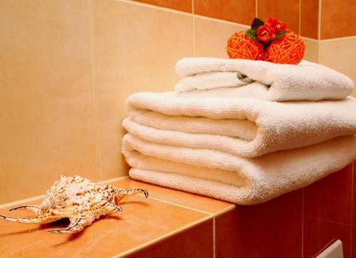 Imagen general del Amberia. Foto 5