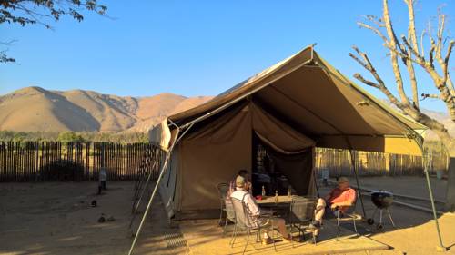Imagen de la habitación del America's Tent Lodges Yosemite. Foto 1