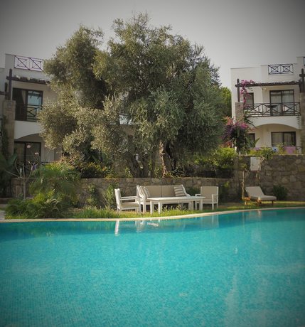 Imagen de la piscina del Amore Boutique Hotel. Foto 19