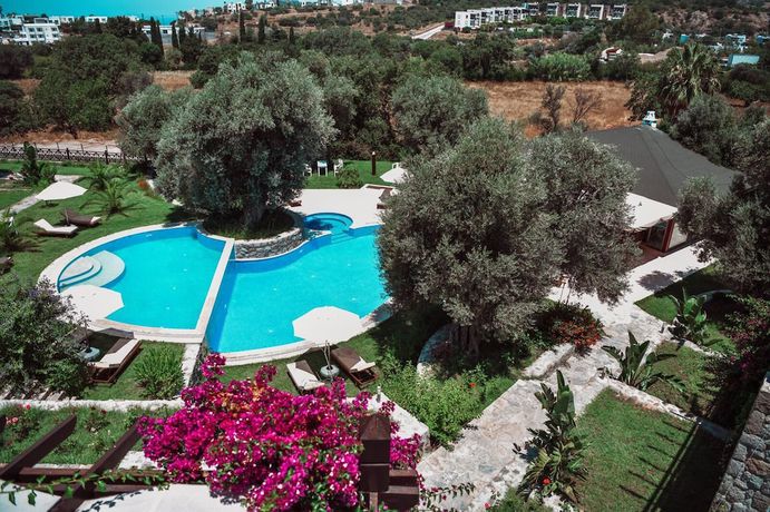 Imagen general del Amore Boutique Hotel. Foto 1