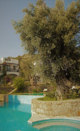 Imagen de la piscina del Amore Boutique Hotel. Foto 20