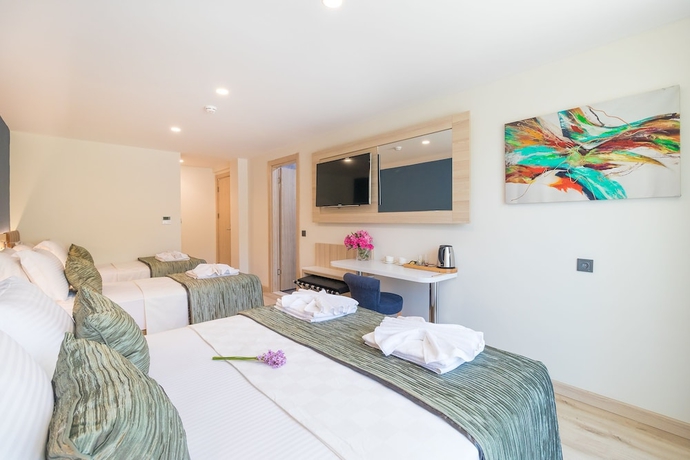 Imagen de la habitación del Amossia Elit Butik Otel. Foto 6