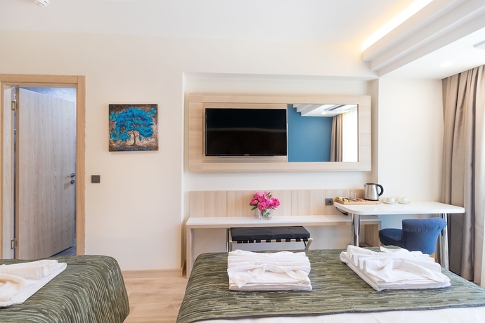 Imagen de la habitación del Amossia Elit Butik Otel. Foto 9