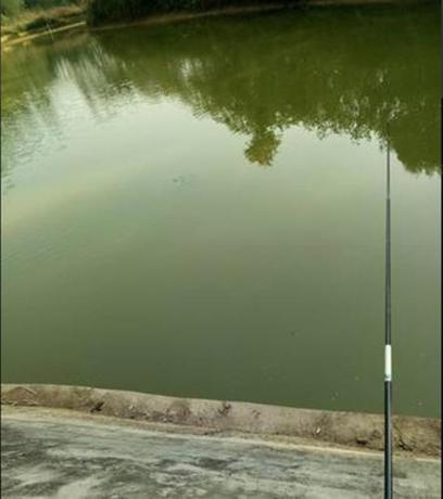 Imagen general del An County Zhengxing Business Hotel. Foto 6