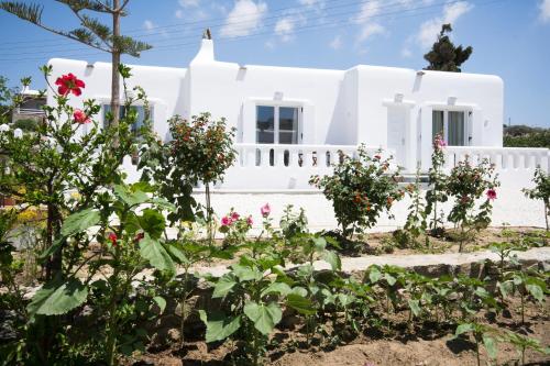 Imagen de los exteriores del Anais, Mikonos. Foto 13
