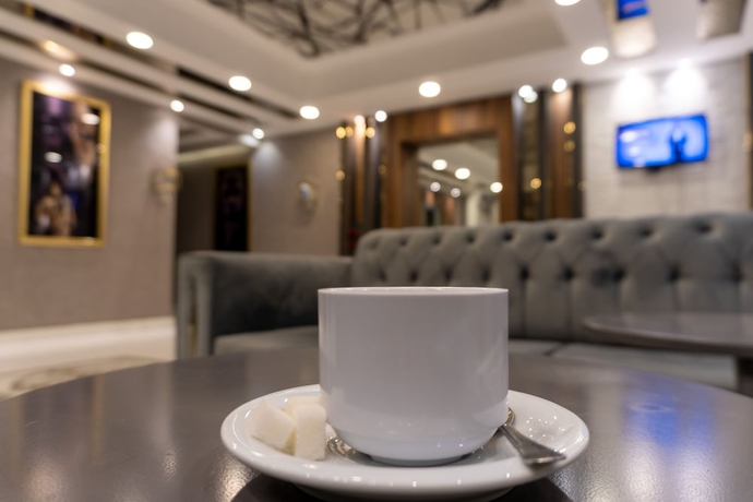 Imagen de los interiores del Anatolia Luxury Hotel. Foto 19